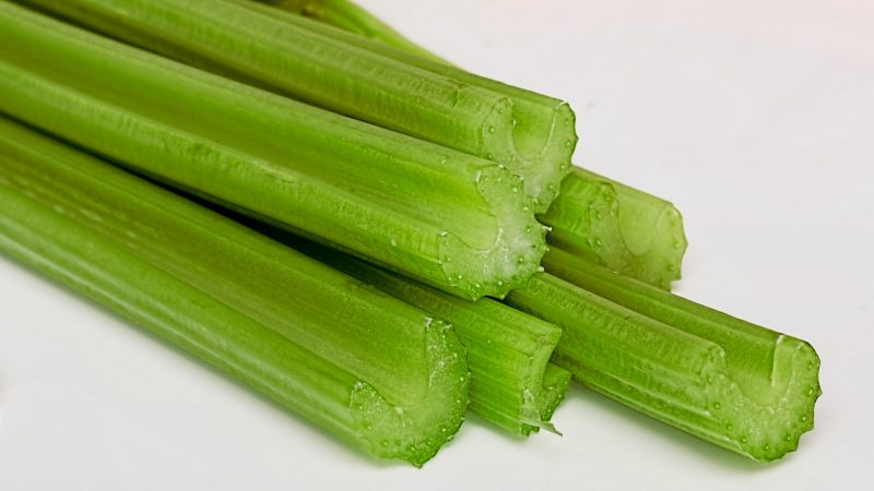 Can Guinea Pigs Eat Celery Sticks