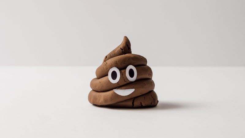 Fun Facts About Poop
