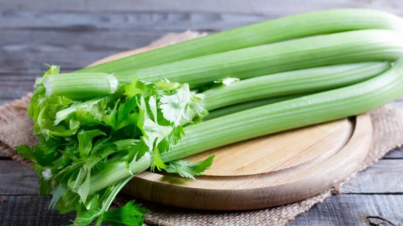 Nutrition Facts of Celery.
