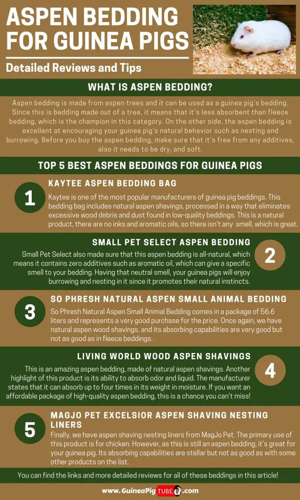 Aspen Bedding For Guinea Pigs Detailed Reviews And Tips_1
