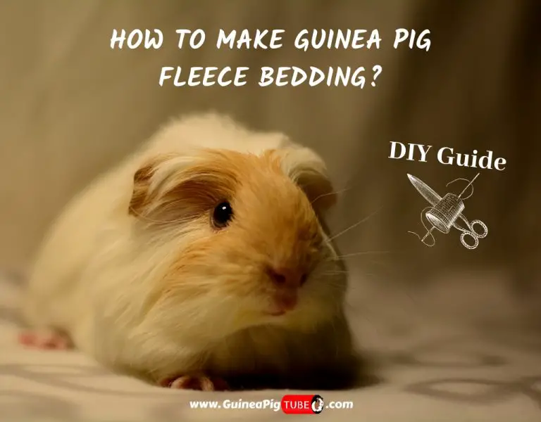 homemade guinea pig bedding