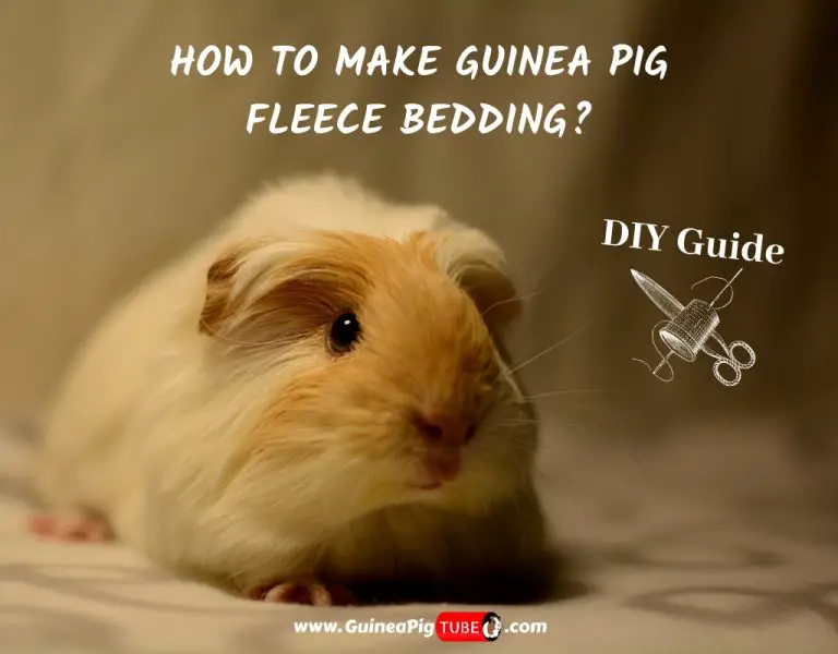 using fleece for guinea pigs