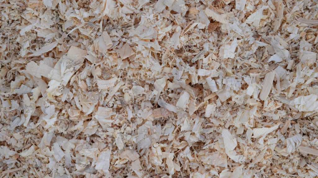 Pine Shavings