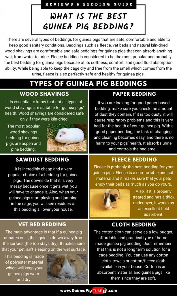 Types of Guinea Pig Beddings_2