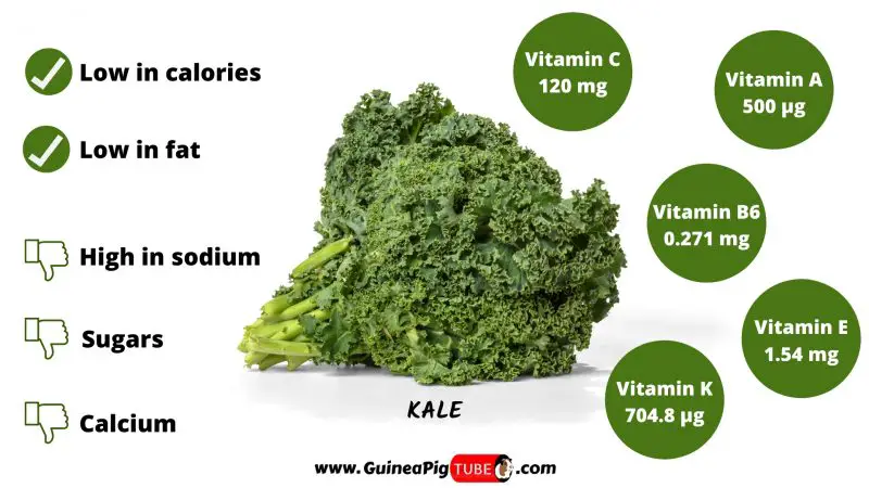 Kale and Guinea Pigs