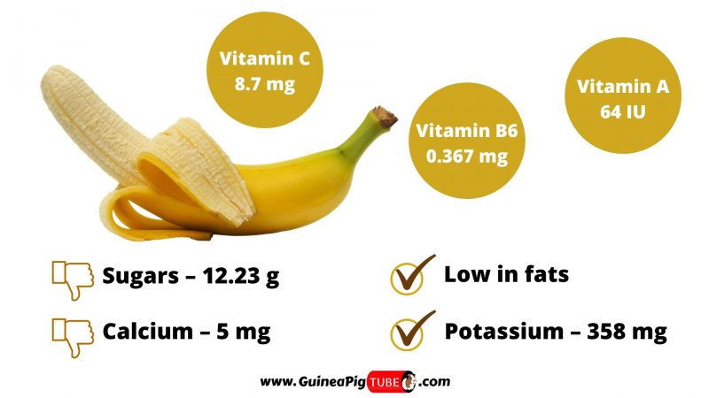 Nutrition Facts of Bananas for Guinea Pigs