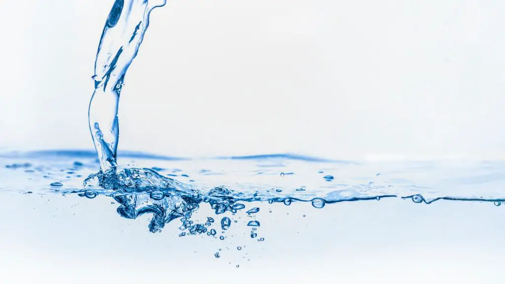 Why Is Water So Important for Guinea Pigs