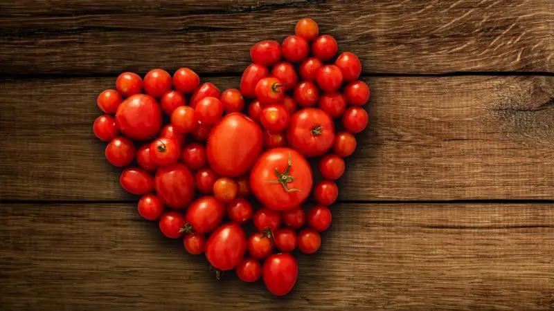 Are Tomatoes Good for Guinea Pigs