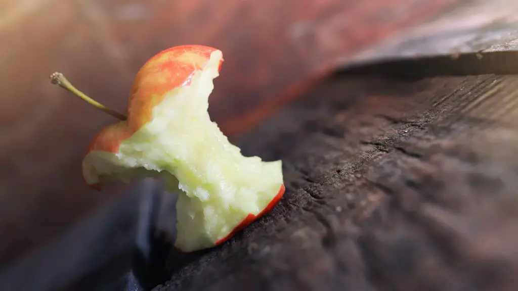 Les cobayes peuvent-ils manger des trognons de pomme