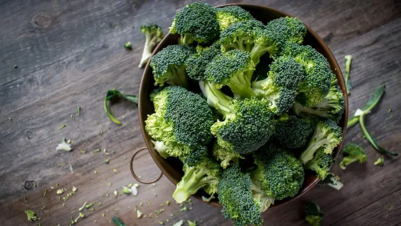 Can Guinea Pigs Eat Broccoli Heads or Florets