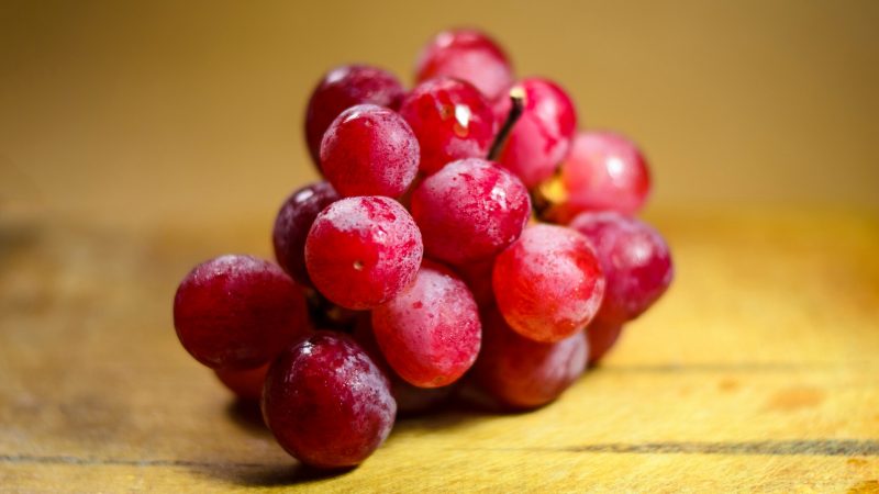 Can Guinea Pigs Eat Red Grapes