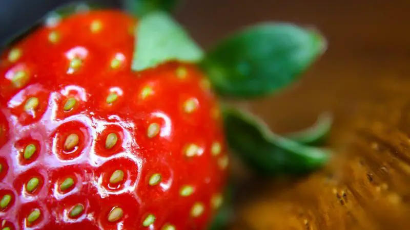 Can Guinea Pigs Eat Strawberry Seeds