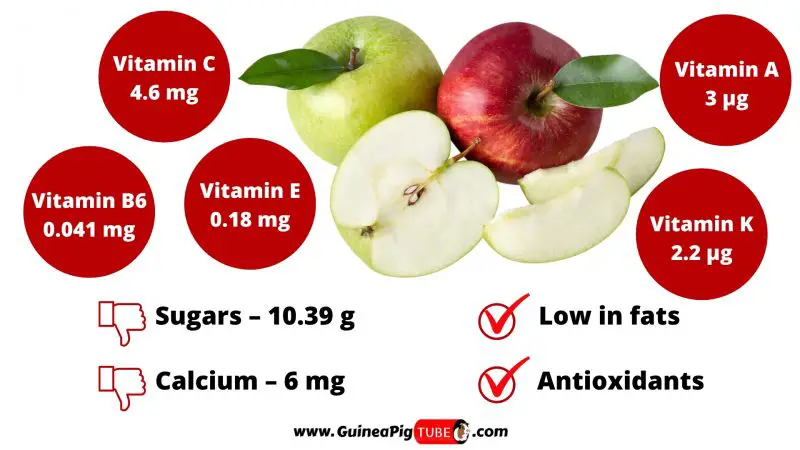 Nutrition Facts of Apples for Guinea Pigs