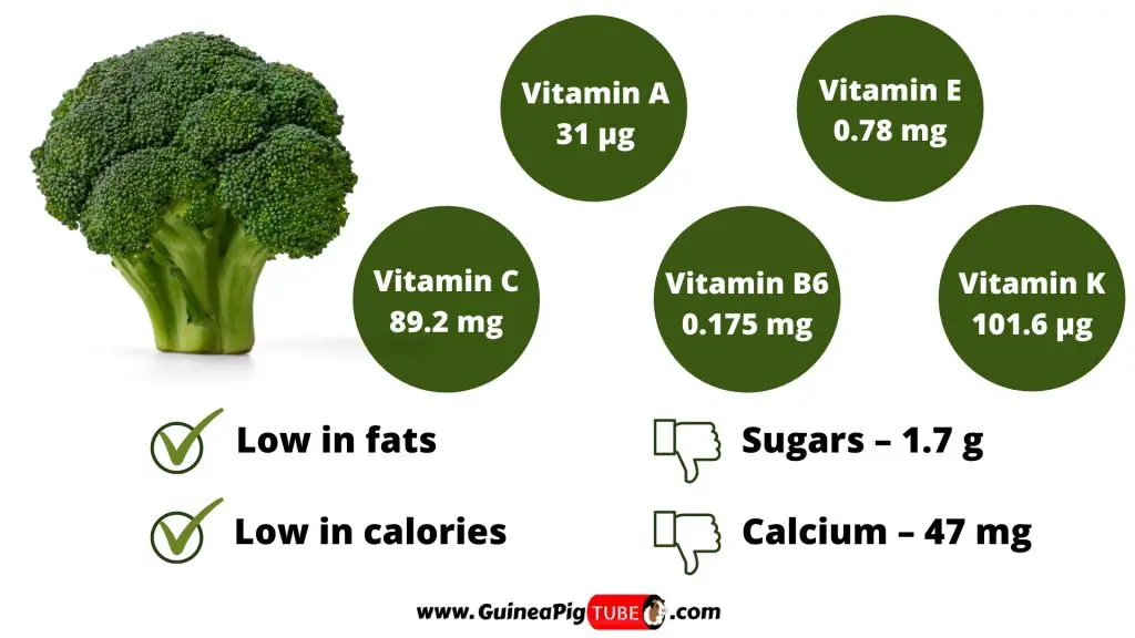 Nutrition Facts of Broccoli for Guinea Pigs