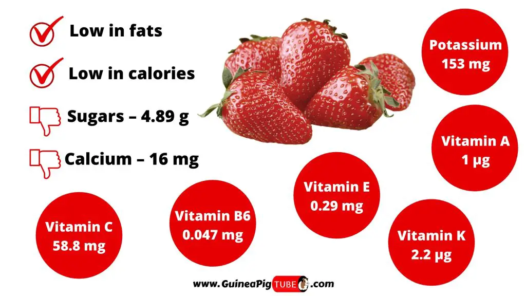 Nutrition Facts of Strawberries for Guinea Pigs