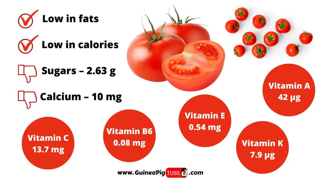 Nutrition Facts of Tomatoes for Guinea Pigs