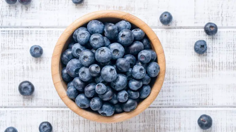 Are Blueberries Bad for Guinea Pigs