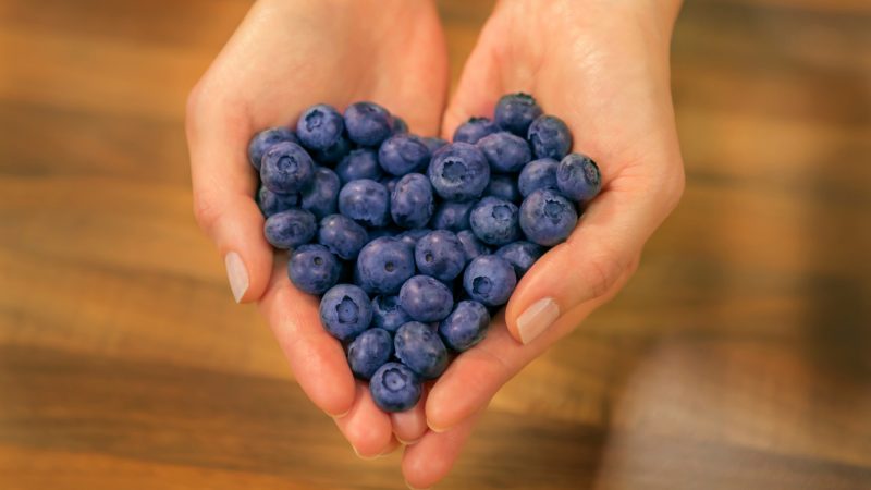 Are Blueberries Good for Guinea Pigs Health Benefits