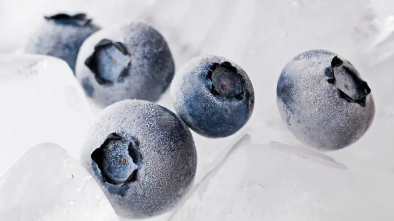 Can Guinea Pigs Eat Frozen Blueberries