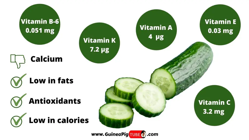 Nutrition Facts of Cucumbers for Guinea Pigs