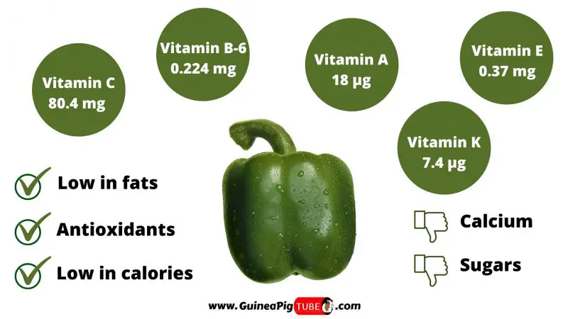 Nutrition Facts of Green Peppers for Guinea Pigs