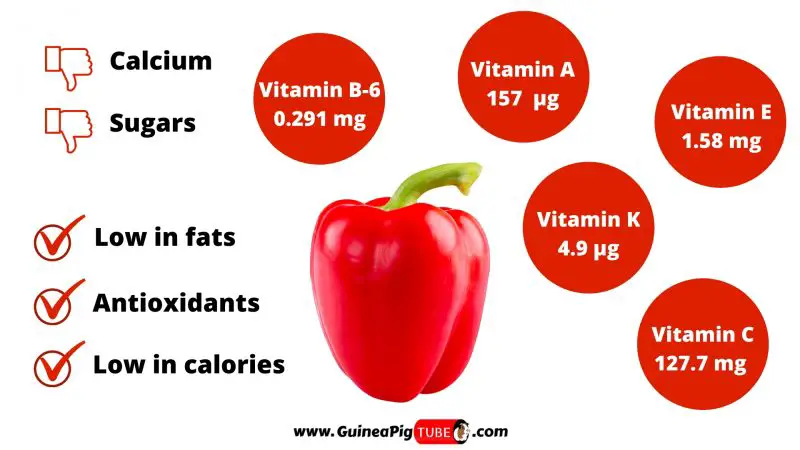 Nutrition Facts of Red Peppers for Guinea Pigs