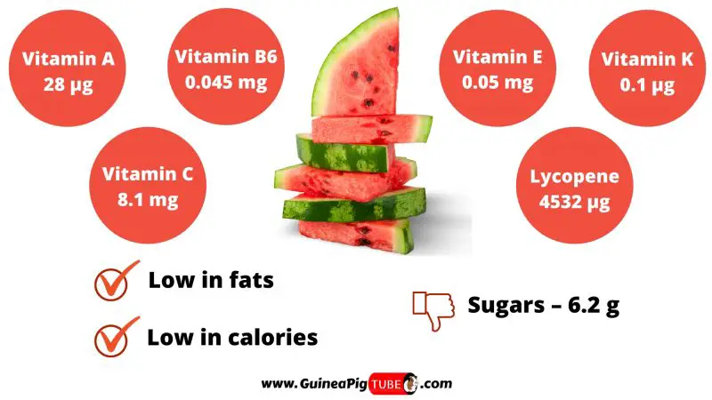 Nutrition Facts of Watermelon for Guinea Pigs