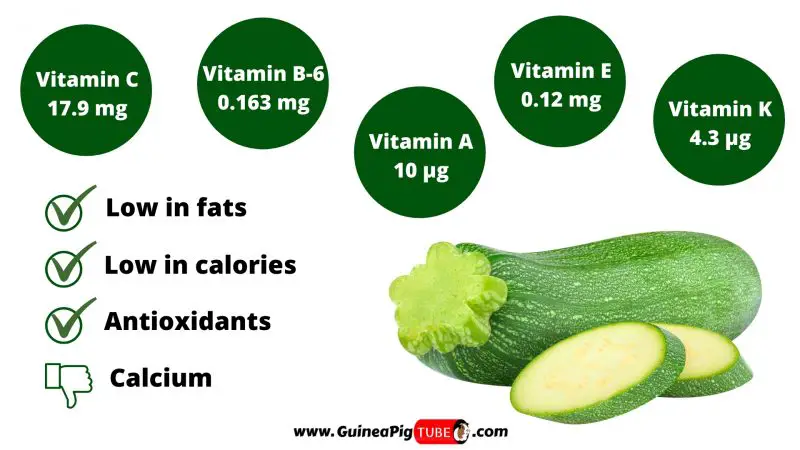 Nutrition Facts of Zucchini for Guinea Pigs