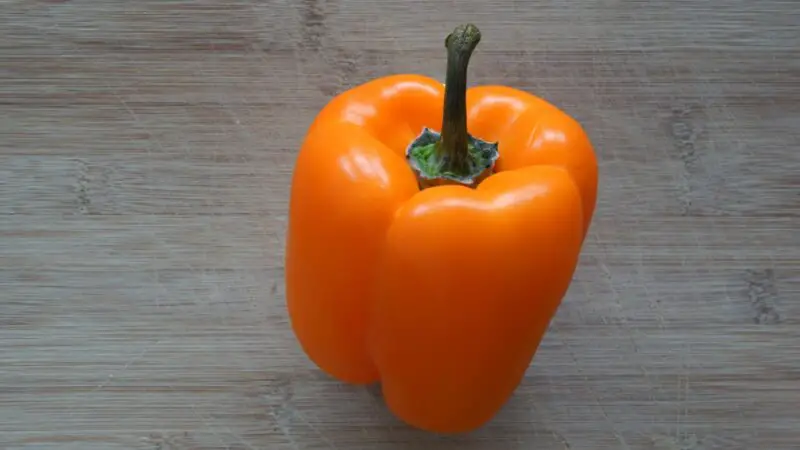 Are Orange Peppers Bad for Guinea Pigs