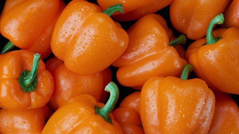Are Orange Peppers Good for Guinea Pigs Health Benefits
