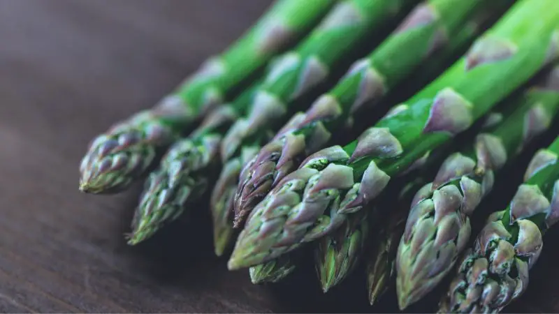 Can Guinea Pigs Eat Asparagus Tips