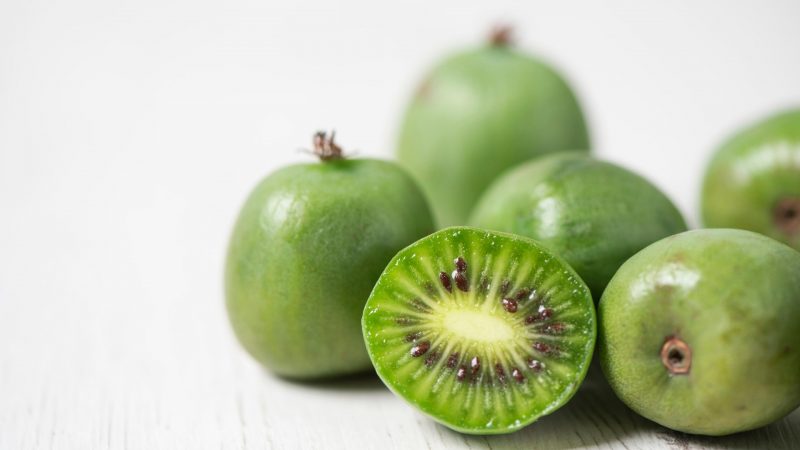 Can Guinea Pigs Eat Kiwi Berries