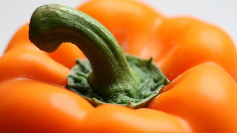 Can Guinea Pigs Eat Orange Peppers Stems