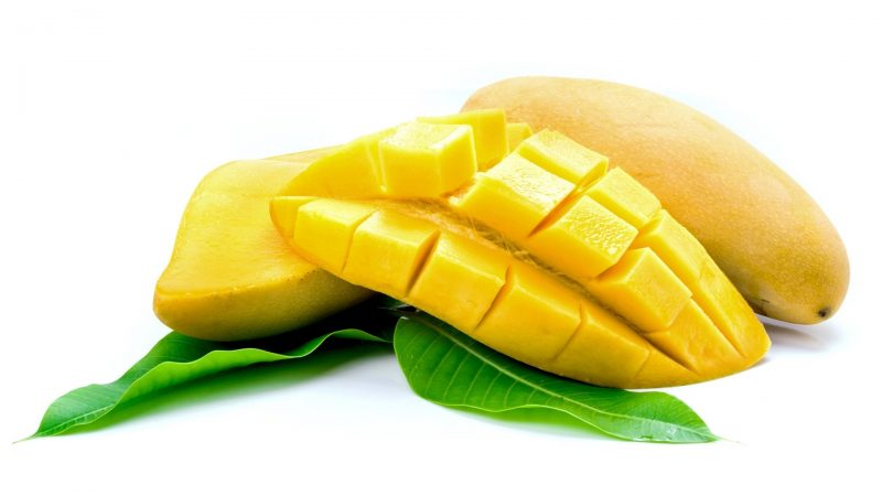 Can Guinea Pigs Eat Yellow Mango