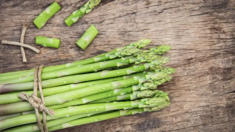 Is Asparagus Poisonous to Guinea Pigs