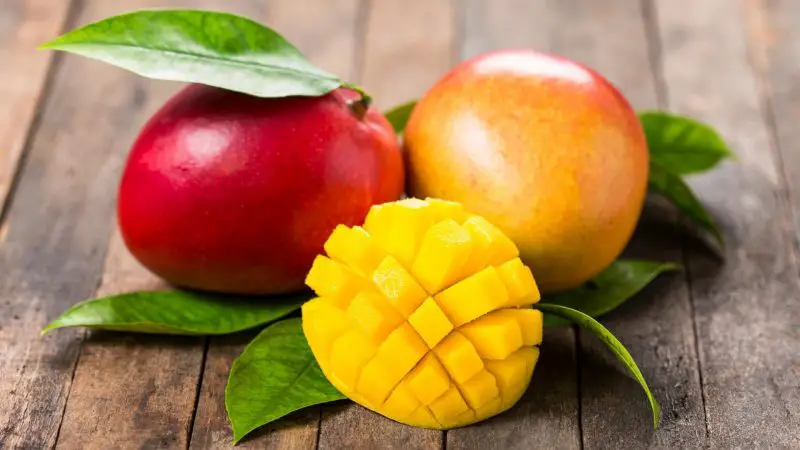 Is Mango Good for Guinea Pigs Health Benefits