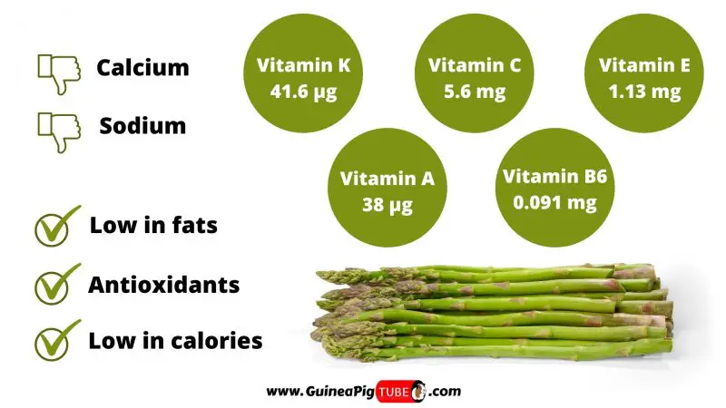 Nutrition Facts of Asparagus for Guinea Pigs