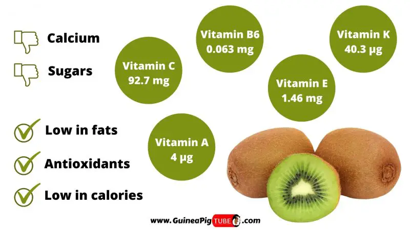 Nutrition Facts of Kiwi for Guinea Pigs