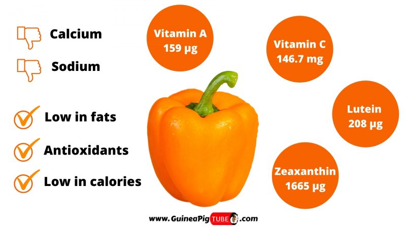 Nutrition Facts of Orange Peppers for Guinea Pigs