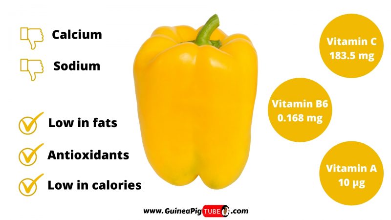 Nutrition Facts of Yellow Bell Peppers for Guinea Pigs