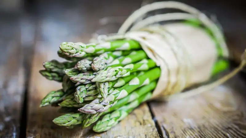 Serving Size and Frequency of Asparagus for Guinea Pigs