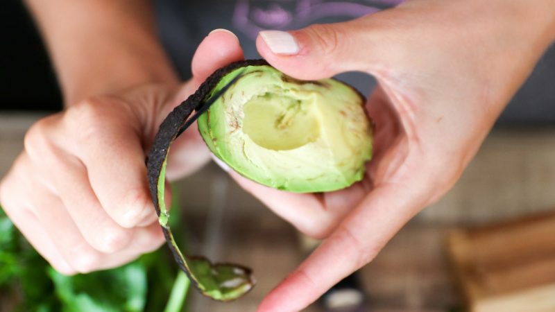 Can Guinea Pigs Eat Avocado Skin