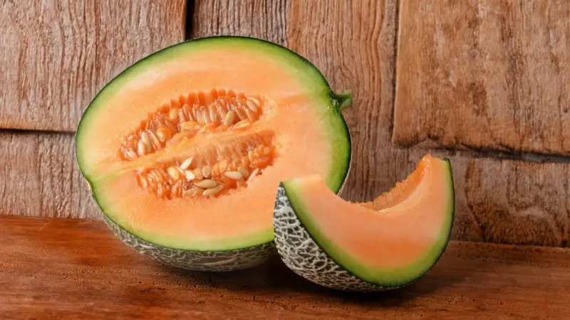 Can Guinea Pigs Eat Cantaloupe Melon