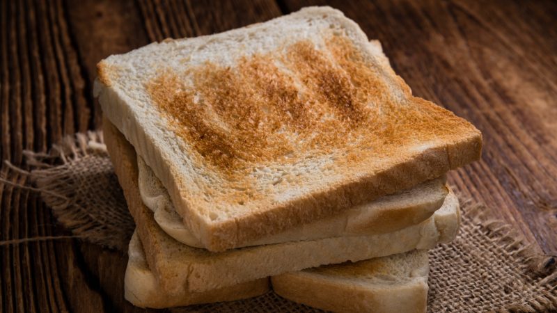 Can Guinea Pigs Eat Toasted Bread