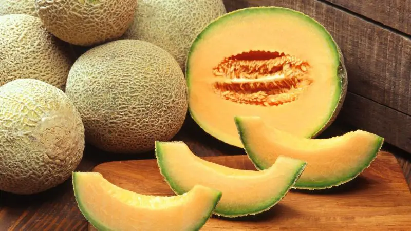 Is Melon Poisonous to Guinea Pigs