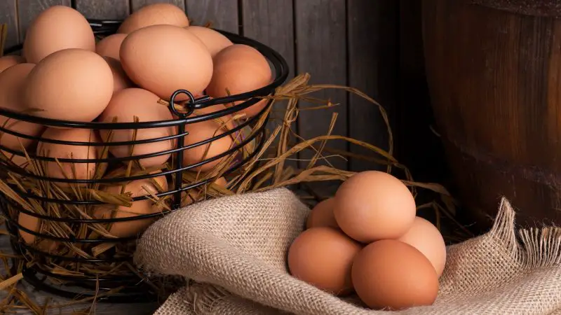 Nutrition Facts of Eggs