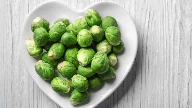 Are Brussels Sprouts Good for Guinea Pigs Health Benefits