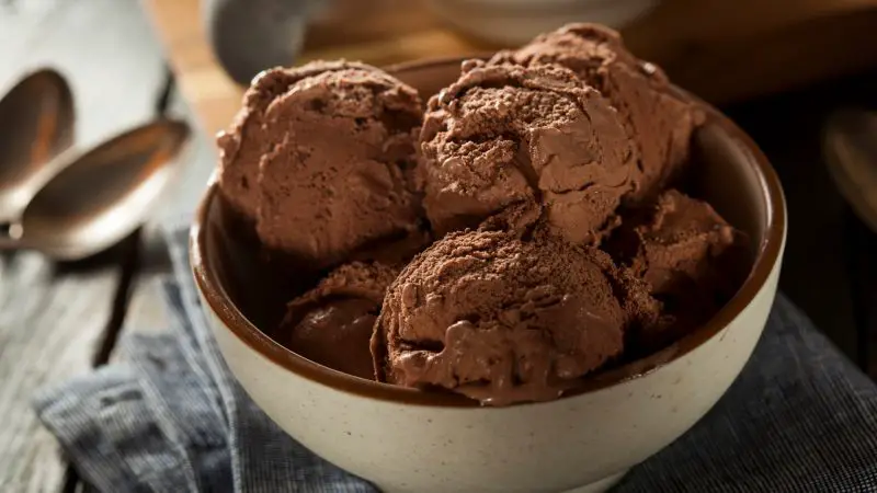 Can Guinea Pigs Eat Chocolate Ice Cream