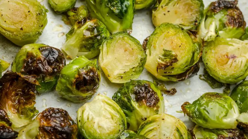 Can Guinea Pigs Eat Cooked Brussels Sprouts