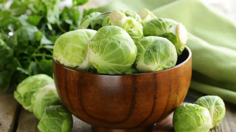 Is Brussels Sprouts Poisonous to Guinea Pigs